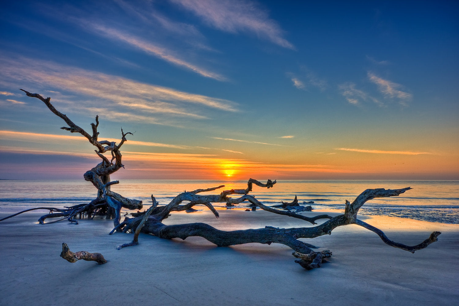 Golden Isles of Georgia named Best Islands in the continental U.S.