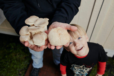 Love Thy Farmer: Pontchartrain Mushrooms