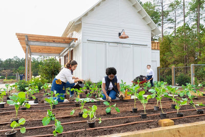 Planted: SCAD & Second Harvest Are Changing The World One Meal At A Time