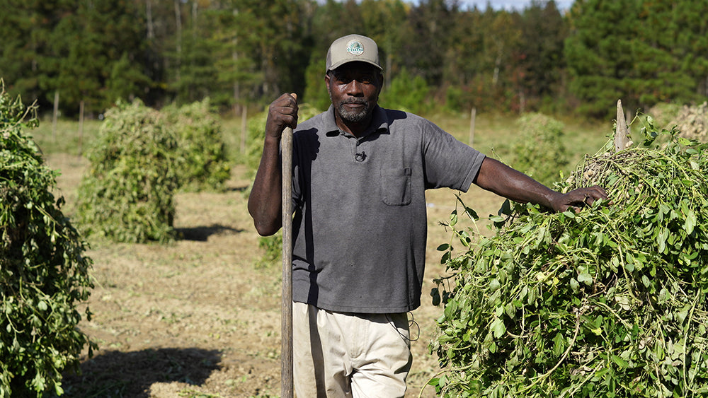 Single Origin Redskins, Shop for Peanut Gifts: Hubbard Peanut Company