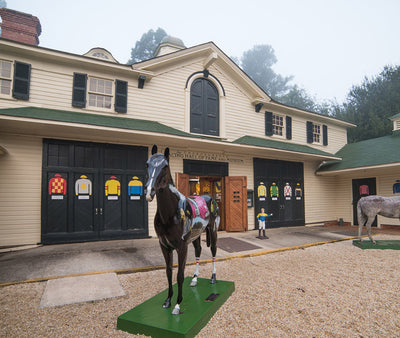 The Sporting Spirit: The Aiken Thoroughbred Racing Hall of Fame & Museum