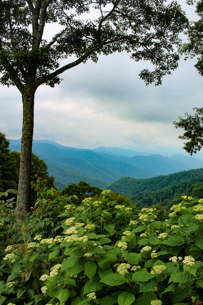 The Ultimate Western North Carolina Road Trip