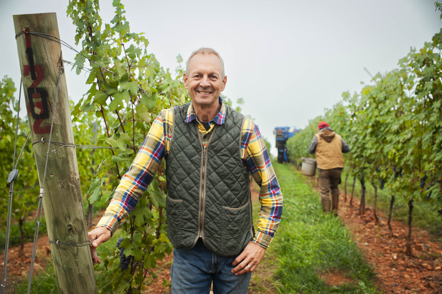 Luca Paschina at his winery vines in Virginia