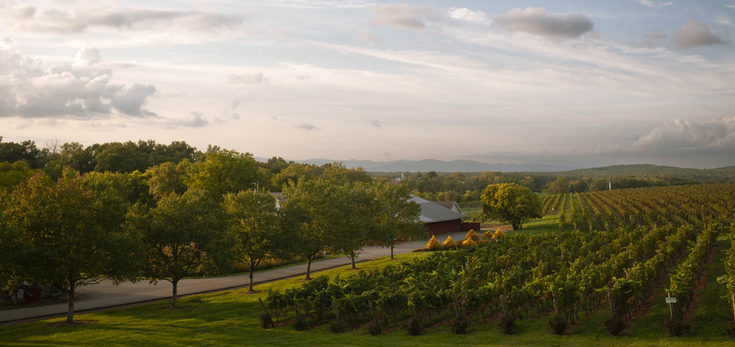 Luca Paschina's Winery in Virginia