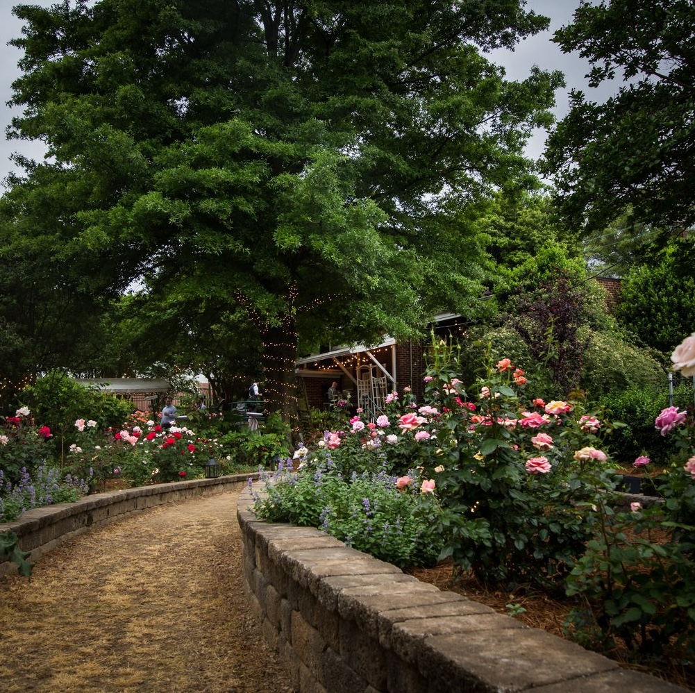 Spring blooms in The South