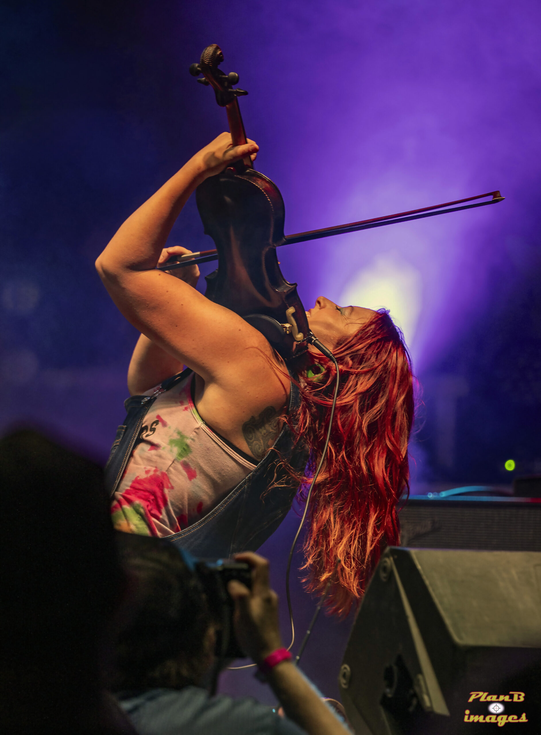 Southern Festivals Across The South