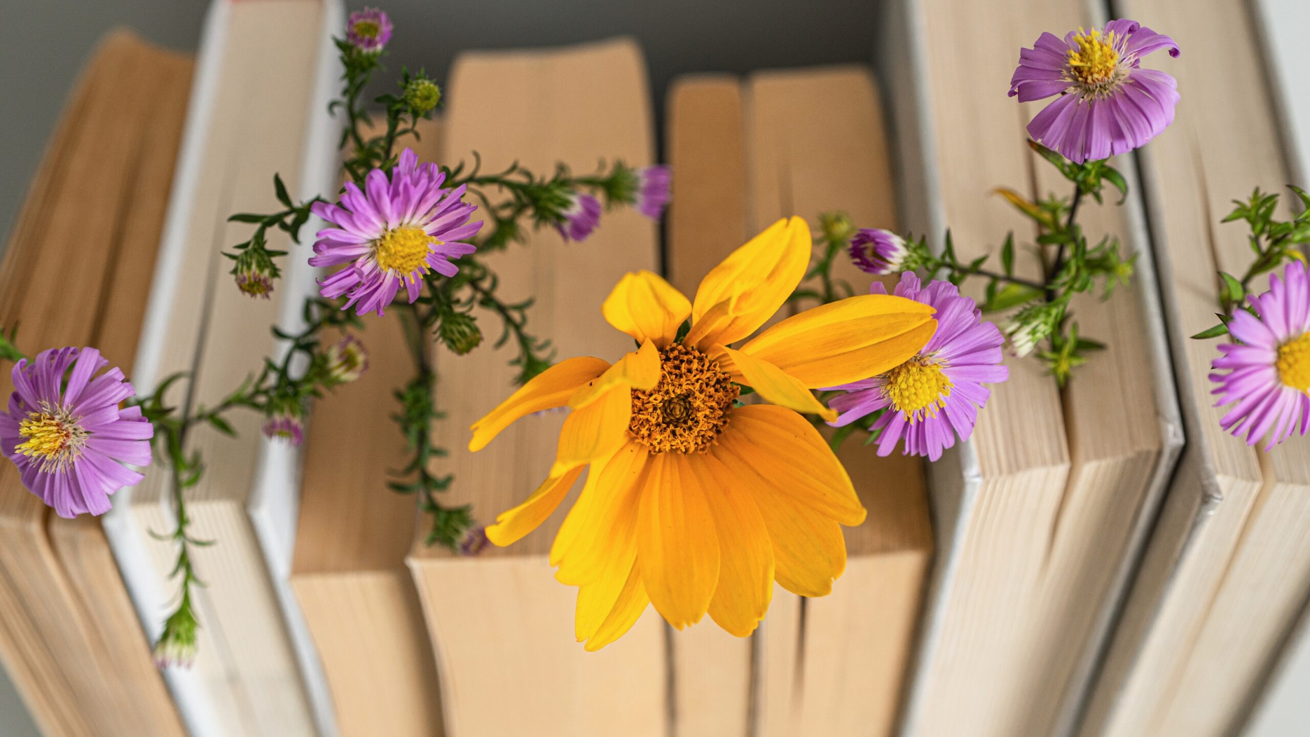 Good Reads | Summer 2026