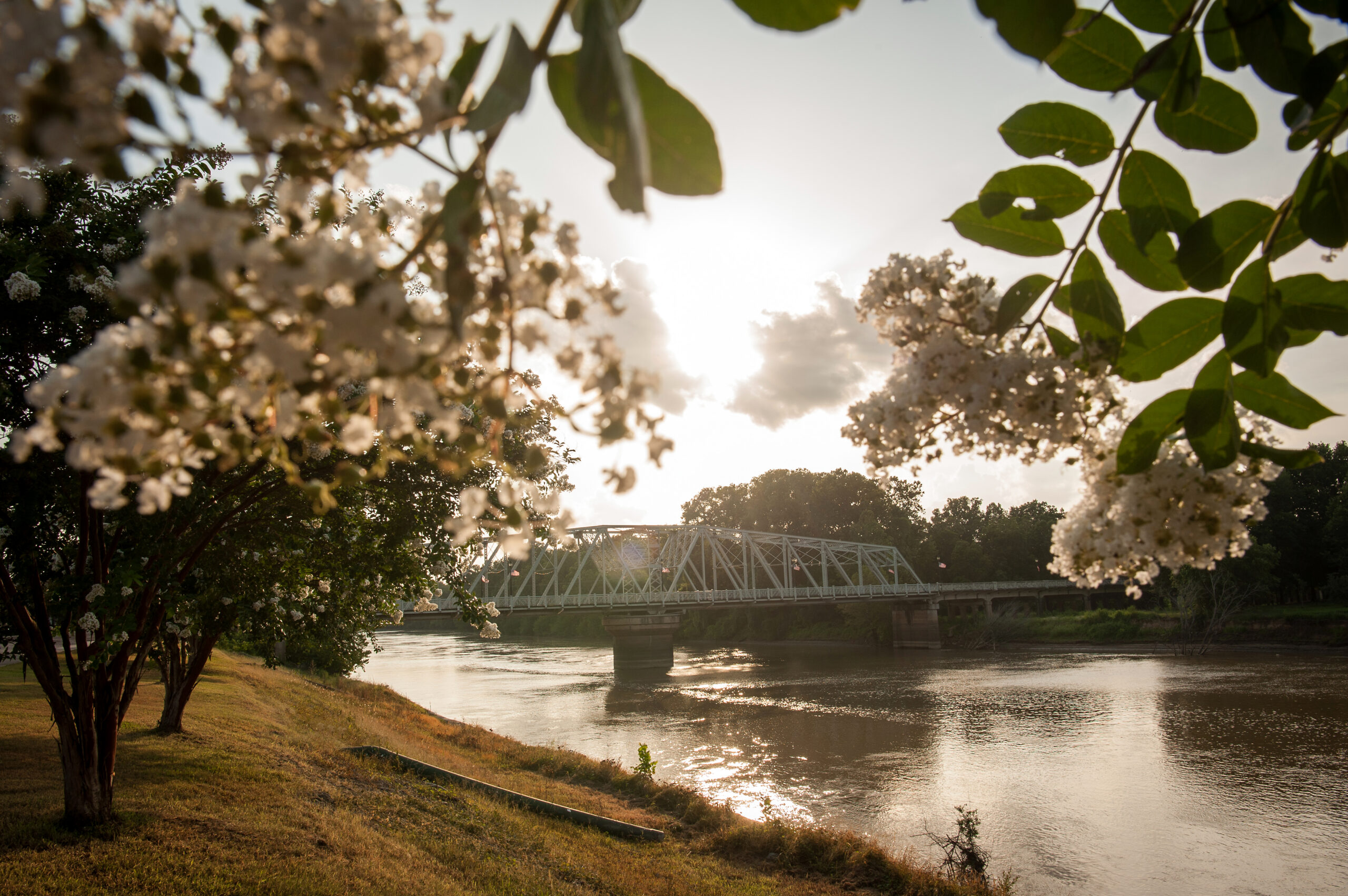 A Southern Town That Might Surprise You