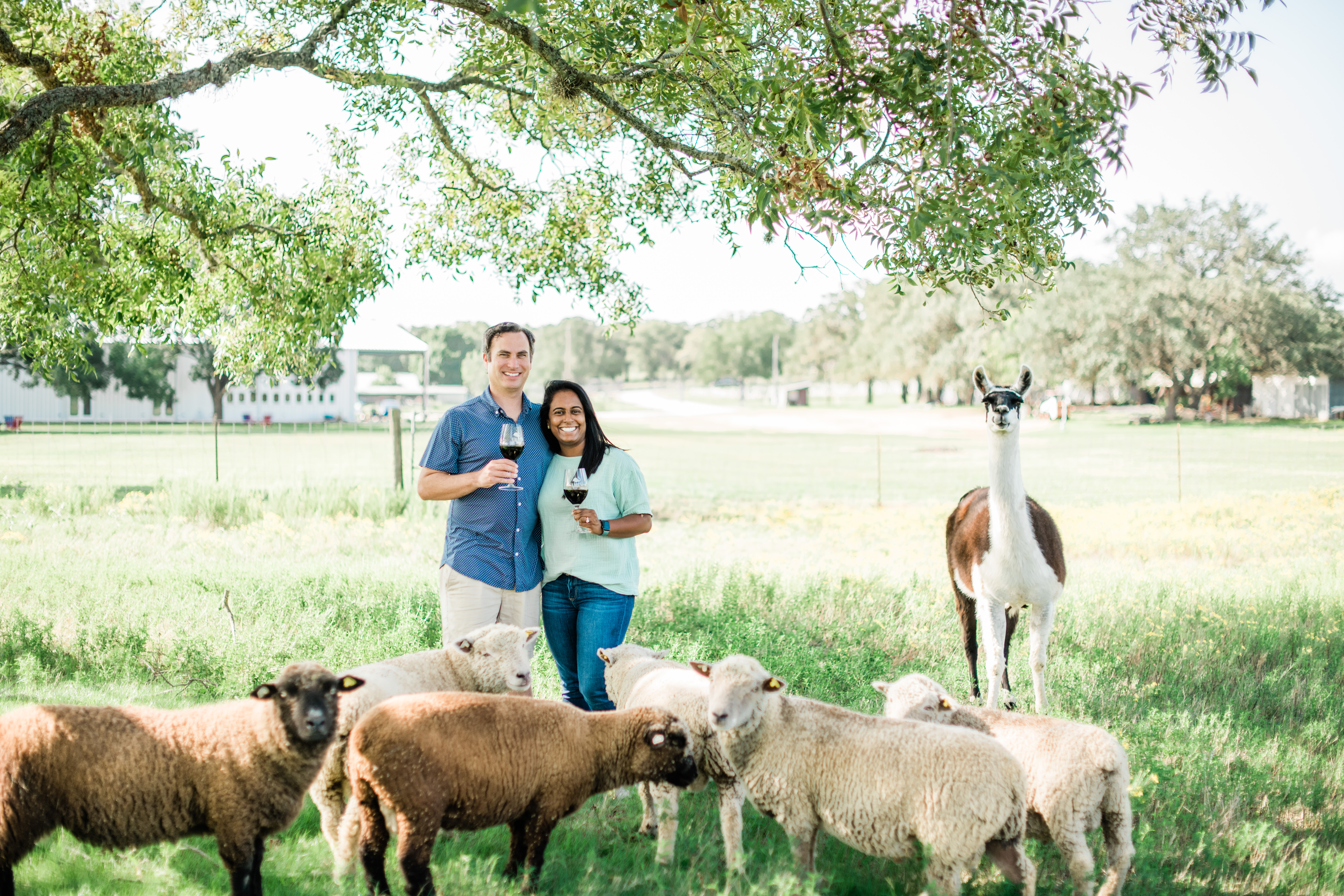 Toasting the Tastemakers of Texas Wine