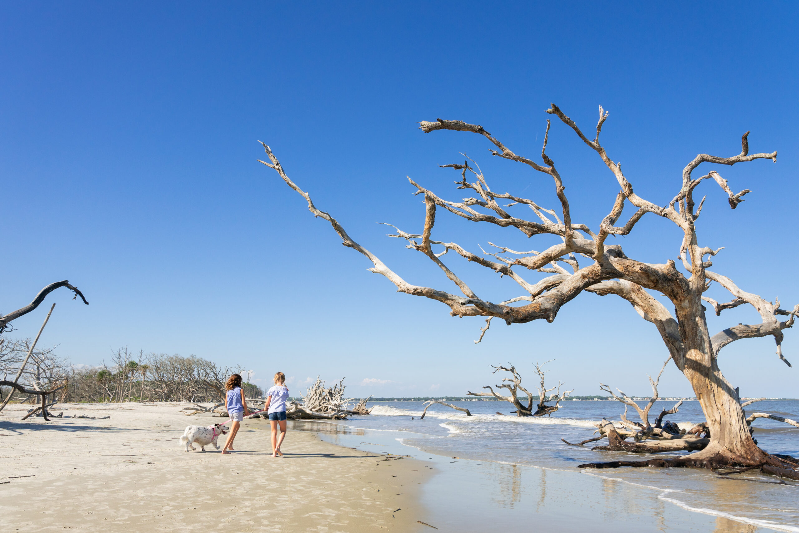 How the Golden Isles Gave Me My Family Back